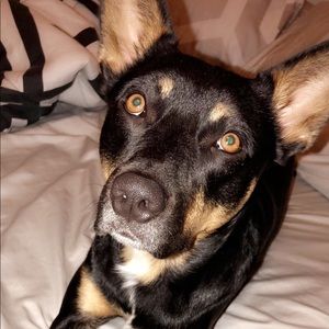 Meet your Posher, Kara